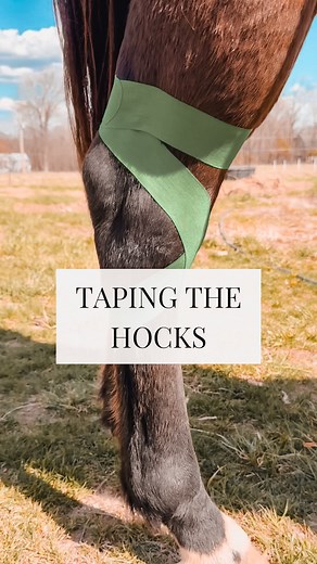 6.4K views · 660 reactions | Comment “tape” to get a link to learn...