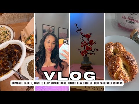 VLOG| TOYS TO KEEP MYSELF BUSY, A DOG FIGHT?! HOMEMADE BAGELS, TRYING NEW CHINESE, 2025 BINGO CARD