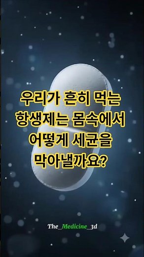 우리가 흔히 먹는 항생제는 몸속에서 어떻게 세균을 막아낼까요? 항생제 복용 후 부작용 해결 장 건강 지키는 확실한 방법