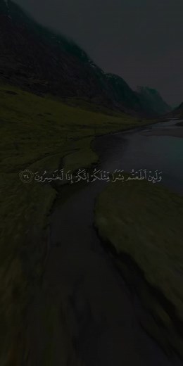 سورة المؤمنون للشيخ ياسر الدوسري