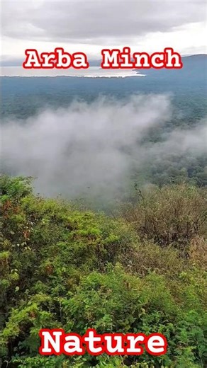 Foggy Arba Minch አርባምንጭ |Nature |Visit ArbaMinch |Travel |Vacation |Foggy |Ethiopia | Beautiful