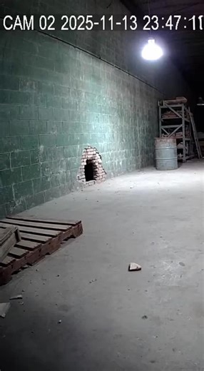 #fyp #abonne #cctv #strang #like What is this huge number of mice? 😱