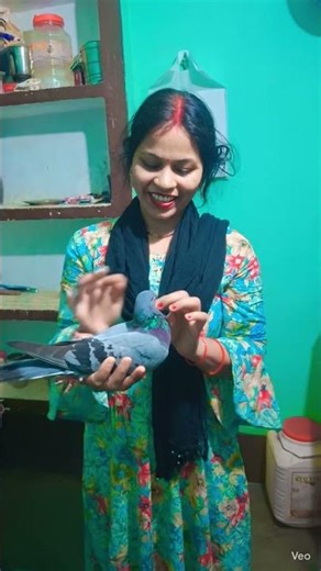 मेरा घर छत पर कबूतर आ गया था #sortsvideo #reels #viral 👌🌹