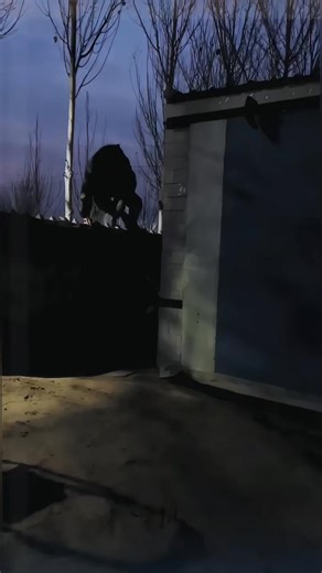 "🌞💡 Never stumble in the dark again! With our solar-powered LED light with motion sensor, you get total safety and convenience — with zero electricity costs! ✅ Automatic motion sensor – the light only turns on when you need it ✅ Waterproof & weatherproof – works in rain, snow, and heat ✅ Quick installation – clip or screw it on, no messy cables ✅ Multi-use – perfect for gardens, garages, yards, campsites, and more 🏡 More light. More safety. No energy bills. ⚡️Buy 2 get 1 free - Get your set n