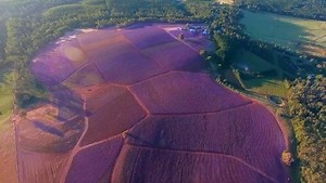 355 reactions · 110 shares | Visit us now to experience a perfect...