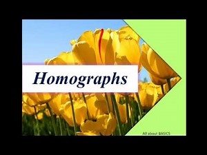 Homographs with examples: All about BASICS