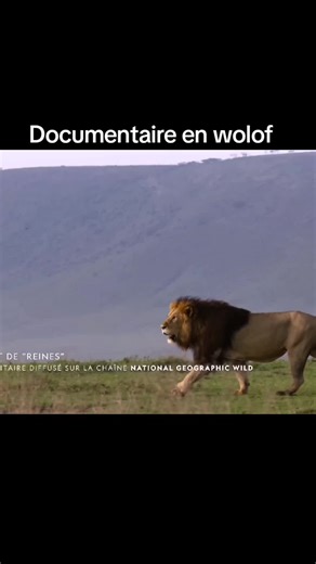#wolof #documentaire #senegalaise_tik_tok