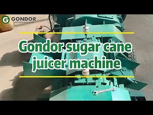 Gondor Sugar Cane Crusher Machine - Efficient & Powerful Sugarcane Juicing System #fruitprocessing