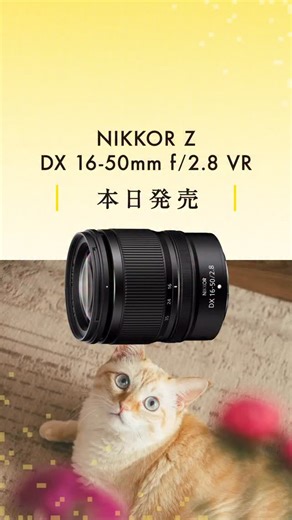 ニコンイメージングジャパン公式 on Instagram: "【本日発売】NIKKOR Z DX 16-50mm f/2.8 VR クリエイティブな表現を幅広く楽しめる明るくコンパクトな標準ズームレンズ ＜主な製品特徴＞ ・広角16mmから中望遠50mmまで（※1）の使いやすい焦点距離範囲を1本でカバー ・ズーム全域で開放F値2.8 ・絞り開放でソフトな描写、絞れば解像感が高い描写 ・手ブレ補正（VR）機構搭載で、補正効果が最大5.0 段/中央（※2） ※1 35mm判換算で24-75mm相当 ※2 CIPA2024規格準拠。Yaw/Pitch補正性能、Z50II装着時（望遠端、NORMALモード） ▼製品概要 https://nij.nikon.com/products/lineup/nikkor/zmount/nikkor_z_dx_16-50mm_f28_vr/ ▼スペシャルコンテンツ https://nij.nikon.com/sp/lens/nikkor_z_dx_16-50mm_f28_vr/ ▼ショートムービー フォトグラファー｜加藤光 https://youtu