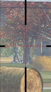 First time playing DayZ in a month