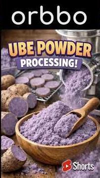 Ube Powder Processing | From Purple Yam to Vibrant Superfood Powder