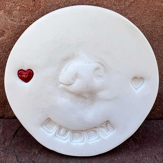Dog Nose Print Mold - Veterinary Wisdom