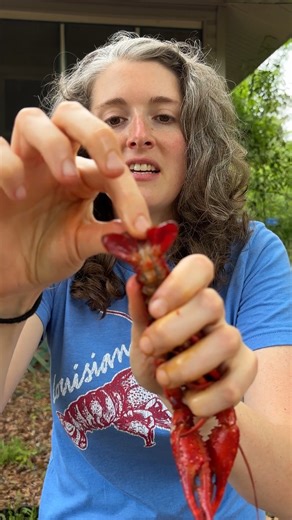 How to pull the string out of a crawfish! #hack #crawfish #reels #louisiana #howto | Anna The Archer