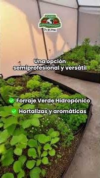 Types of Greenhouses: What kind of greenhouse or structure does your crop need?