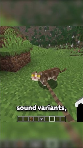 NEW BABYS AND COPPER IS A TRUMPET...