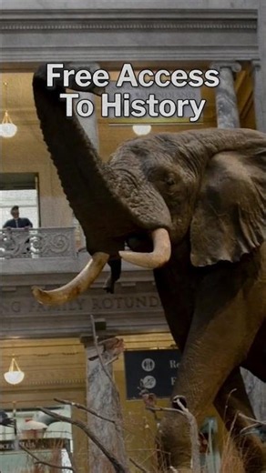 Smithsonian Day