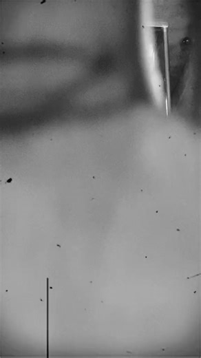 #fypシ゚viral #dancing #goviral #acrobatics #fyppppppppppppppppppppppp