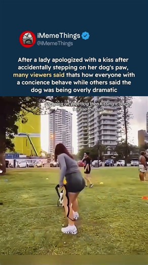 lady apologizes to her dog with a kiss after stepping on its paw #doglovers
