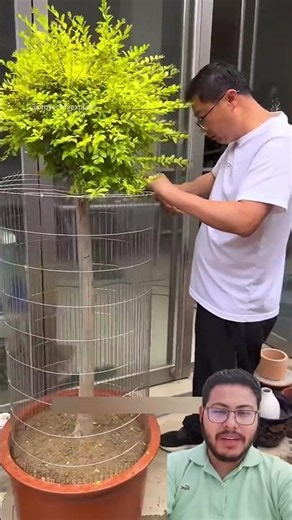 Don't buy a cage! Do this and see the difference 🐦