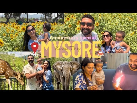 Mysore Road Trip | 3rd Wedding anniversary ❤️ | Malavika Krishnadas |Thejus Jyothi