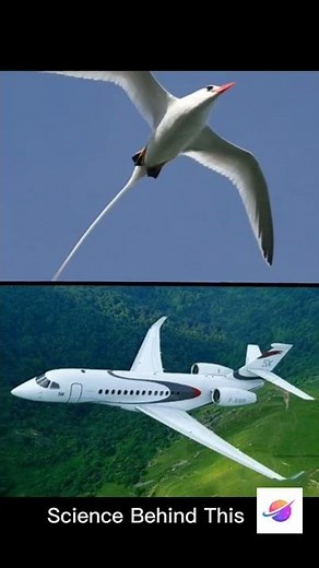 Technology VS Nature 😳😳 | Science Behind This | Technology inspired by nature |