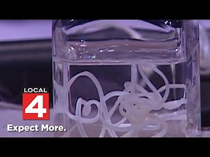 Local 4 News at 6 -- Dec. 30, 2024