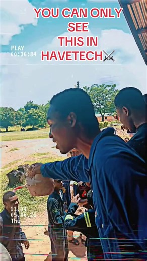 #creatorsearchinsights