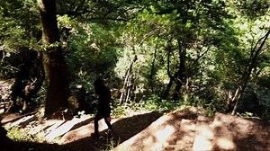Hiking, Woman, Walking. Free Stock Video