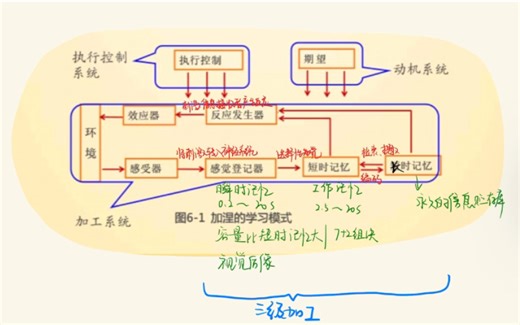 【教育心理学】加涅的信息加工模型