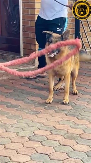 @Beauti4lMonster shasha mu Training vabatei 0715634196