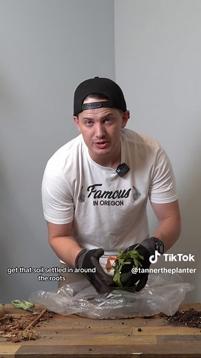 How to Get Your Holiday Cactus to Bloom