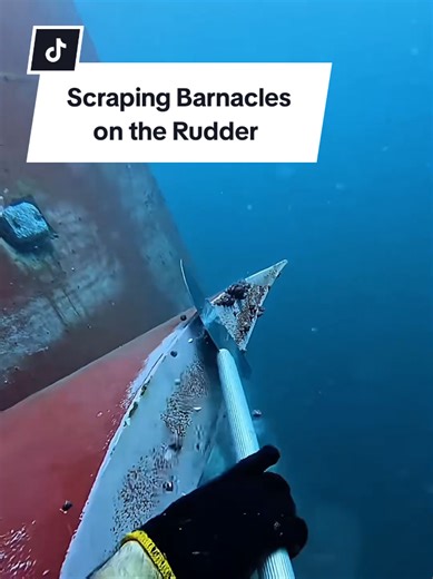 Scraping Barnacles Off the Ship's Rudder