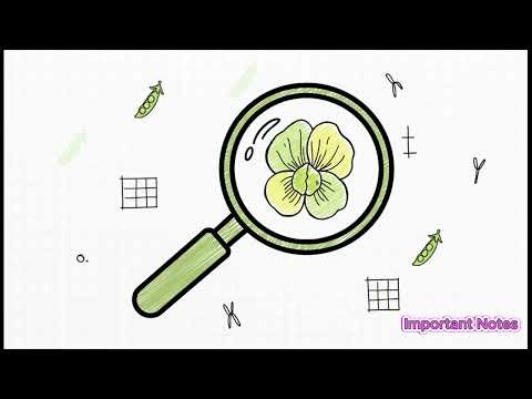 SEE Class 10 Science Notes Chapter 4: वंशानुक्रम Part II – Mendel’s Law of Inheritance