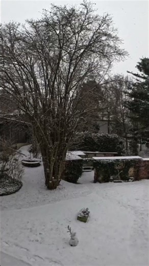 Wann wird es Frühling #winter #wetter