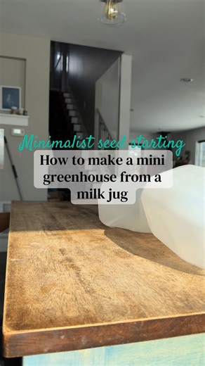 Louisa Cash on Instagram: "The soil mix for winter sowing differs a bit from standard seed starting because it needs to be very nutrient dense to support the seeds all the way to seedling form living outdoors. If you ever see happy frog on sale, that one is amazing. I’ve also used Black Gold from Sungrow, or am using Brit Organic Potting Soil in this video. The brand doesn’t matter but organic and nutrient dense does. #wintersowing #milkjugsowing #milkjuggreenhouse #minigreenhouse #gardening"