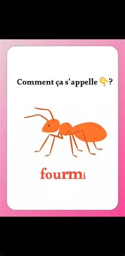 ��� Les noms des insectes en français ��� | Français Pour Tous