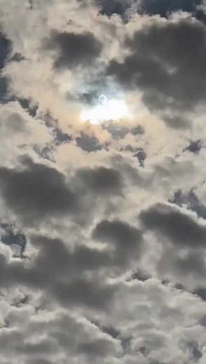 éclipse visto de Bogotá Colombia 🌘 #eclipse #cielo #eldiadehoy #fenomeno #profesia #eclipsesolar