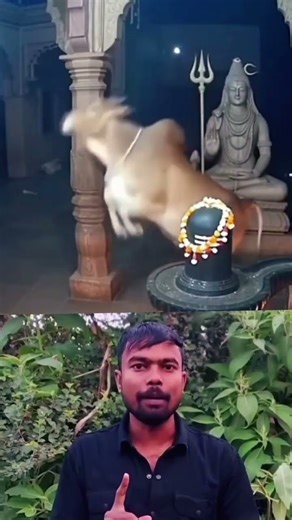 🙏🙏♥️🙏🙏