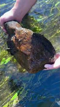 A great day for a Pudding stone hunt! #rockhounding #mudlarkingfinds