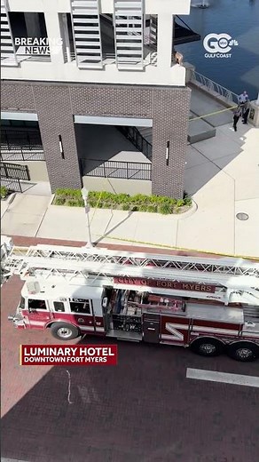 A coyote is stuck on a 2nd-flood ledge of the Luminary Hotel in downtown Fort Myers
