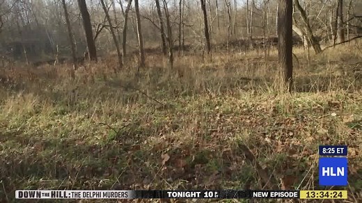8.4K views · 52 reactions | PREVIEW: Susan Hendricks highlights the finale of HLN's two-night special: "Down the Hill: The Delphi Murders" and reveals the one regret the Sheriff overseeing the investigation has to this day, 4 years later. Help get #JusticeForAbbyAndLibby tonight at 10 p.m. ET (7 PT) on HLN. HLNTV.com | HLN | Facebook