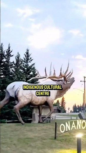 Sacred Sweat Lodge Ceremony | Glimpse into Indigenous Spirituality | Canada | Manitoba | BeingHuman