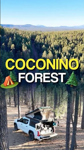 Coconino Forest | Cozy Off Grid Family Camping