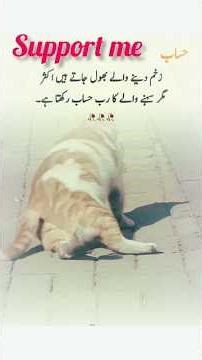 Urdu sad poetry Sad shayari.#poetry #urdupoetry #sad #brokenheart