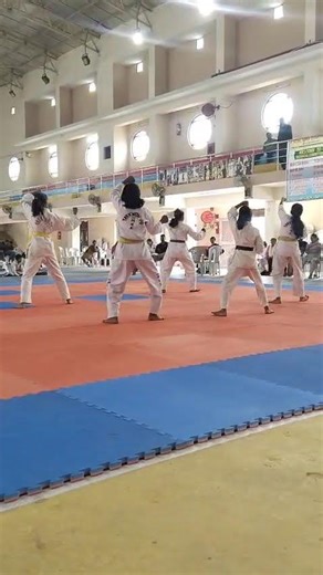 #taekwondo #Dan-Gun tul