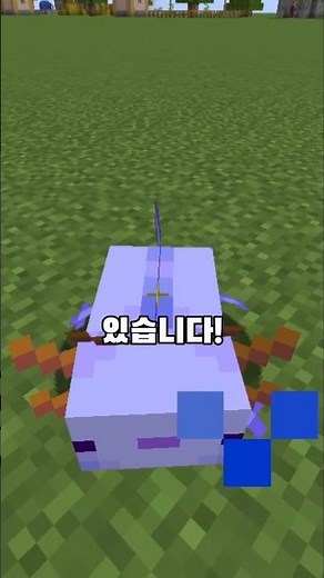 파란 아홀로틀 100%로 뽑는 법 #마인크래프트 #minecraft #마크