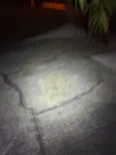 Make sure you have the tools needed to safely do the job , especially in the dark. You should have a headlamp or some kind of flashlight! Even a light for your car would be clutch! #amazonflexdriver #amazonflex #deliverydriver #doordash