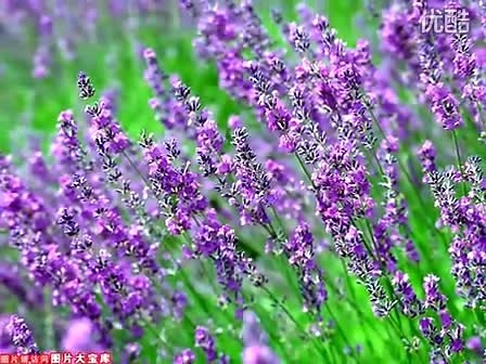 自然风景 世界风情【高清】