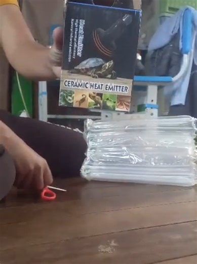 Understanding Ceramic Heat Emitters for Chicks