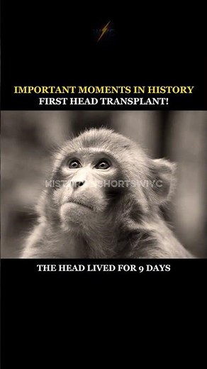 The First Head Transplant! 🧠 The Bizarre 1970 Monkey Experiment #darkscience #bizarrehistory